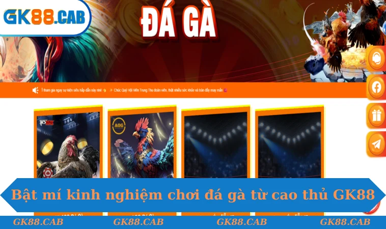 Bật mí kinh nghiệm chơi đá gà từ cao thủ GK88